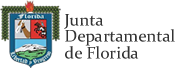 escudo transparente